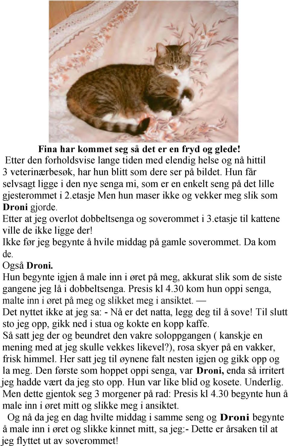 Etter at jeg overlot dobbeltsenga og soverommet i 3.etasje til kattene ville de ikke ligge der! Ikke før jeg begynte å hvile middag på gamle soverommet. Da kom de. Også Droni.