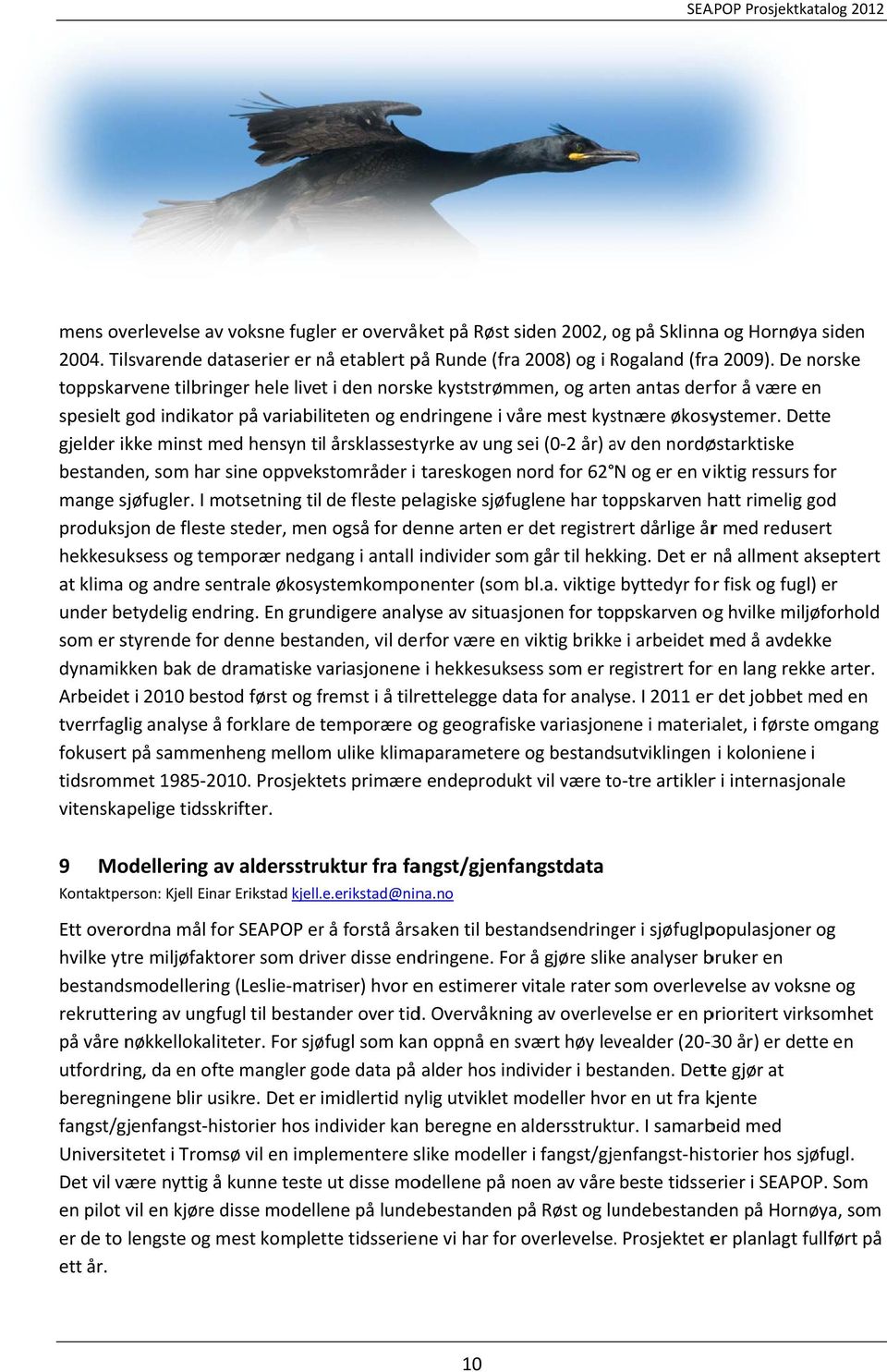 Dette gjelder ikke minst med hensyn til årsklassestyrke av ung sei (0 2 år) av a den nordøstarktiske bestanden, som har sine oppvekstområder i tareskogen nord for 62 N og er en viktig ressurs for