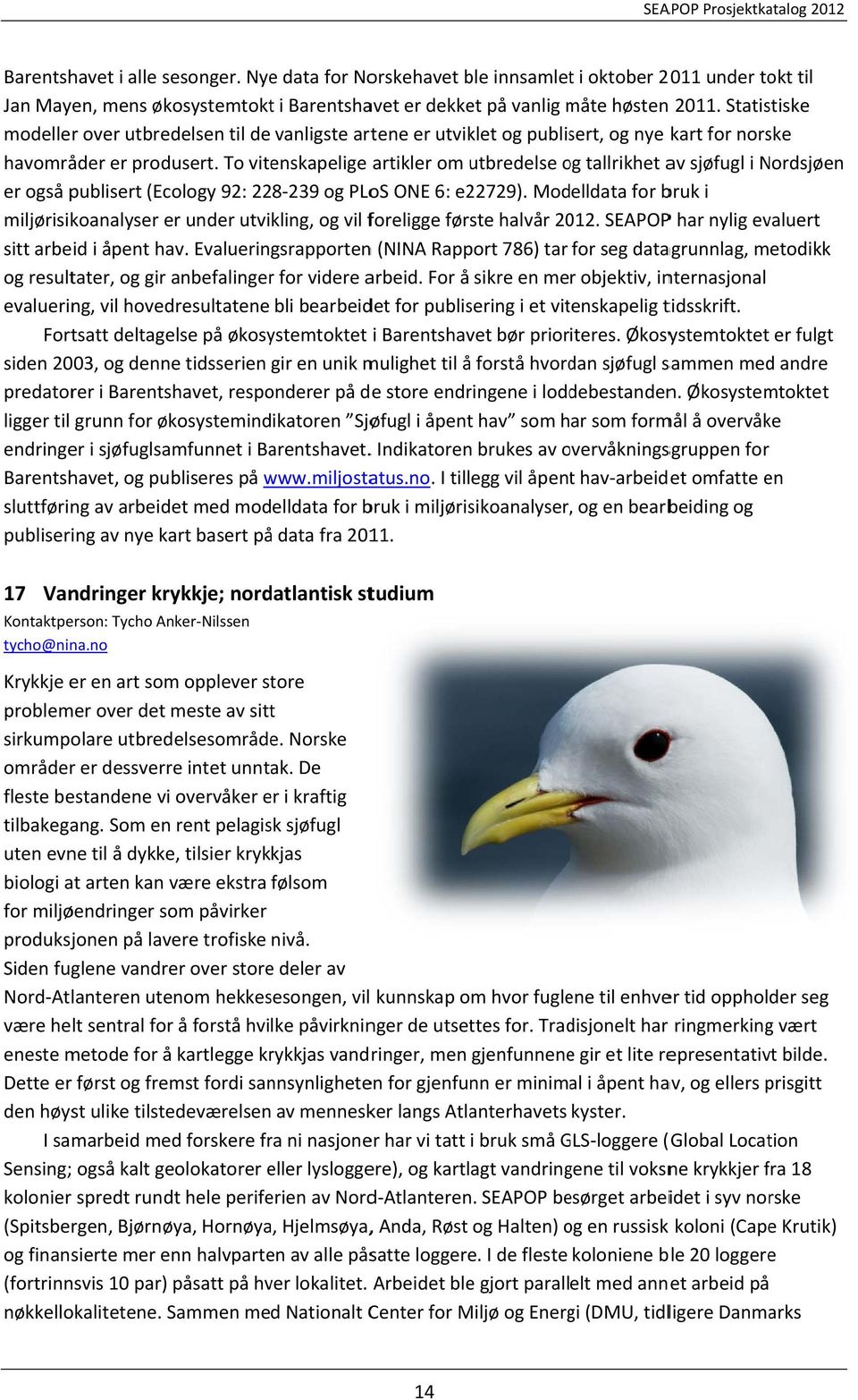 To vitenskapelige artikler om utbredelse og o tallrikhet av sjøfugl i Nordsjøen er også publisert (Ecology 92: 228 239 og PLoS ONE 6: e22729).
