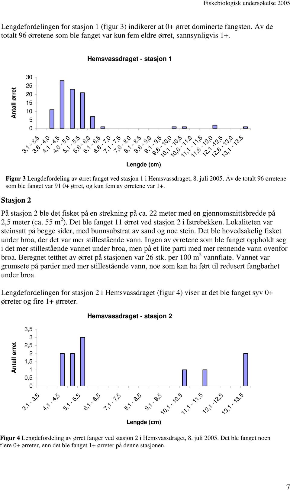 13,1-13,5 Figur 3 Lengdefordeling av ørret fanget ved stasjon 1 i Hemsvassdraget, 8. juli 25. Av de totalt 96 ørretene som ble fanget var 91 + ørret, og kun fem av ørretene var 1+.