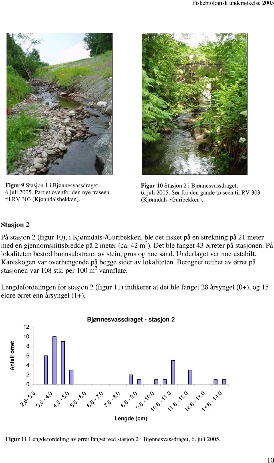 Stasjon 2 På stasjon 2 (figur 1), i Kjønndals-/Guribekken, ble det fisket på en strekning på 21 meter med en gjennomsnittsbredde på 2 meter (ca. 42 m 2 ). Det ble fanget 43 ørreter på stasjonen.