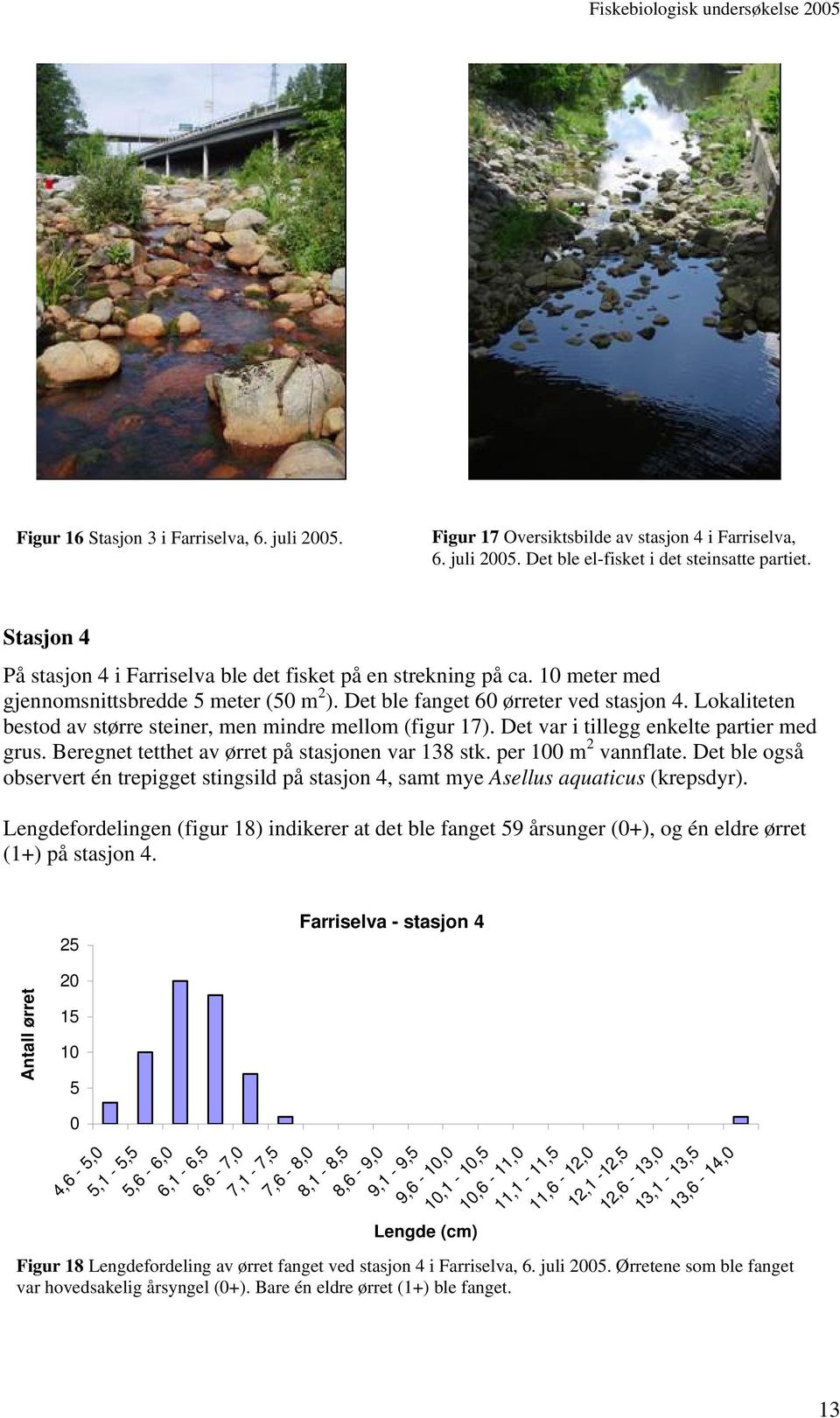 Lokaliteten bestod av større steiner, men mindre mellom (figur 17). Det var i tillegg enkelte partier med grus. Beregnet tetthet av ørret på stasjonen var 138 stk. per 1 m 2 vannflate.