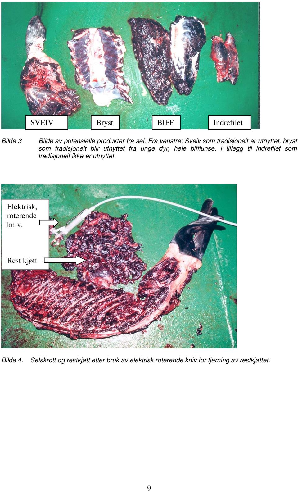 dyr, hele bifflunse, i tillegg til indrefilet som tradisjonelt ikke er utnyttet.