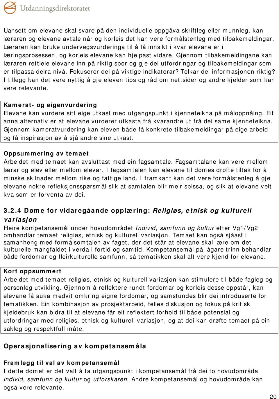 Gjennom tilbakemeldingane kan læraren rettleie elevane inn på riktig spor og gje dei utfordringar og tilbakemeldingar som er tilpassa deira nivå. Fokuserer dei på viktige indikatorar?