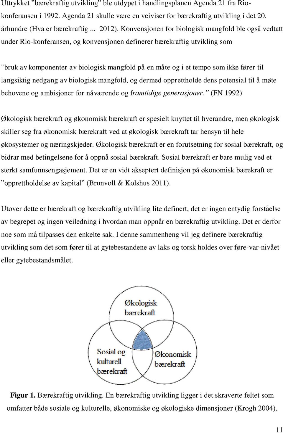 Konvensjonen for biologisk mangfold ble også vedtatt under Rio-konferansen, og konvensjonen definerer bærekraftig utvikling som "bruk av komponenter av biologisk mangfold på en måte og i et tempo som