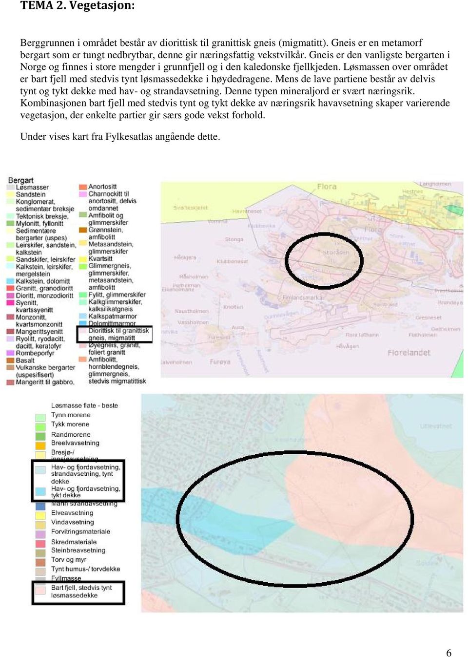 Gneis er den vanligste bergarten i Norge og finnes i store mengder i grunnfjell og i den kaledonske fjellkjeden.