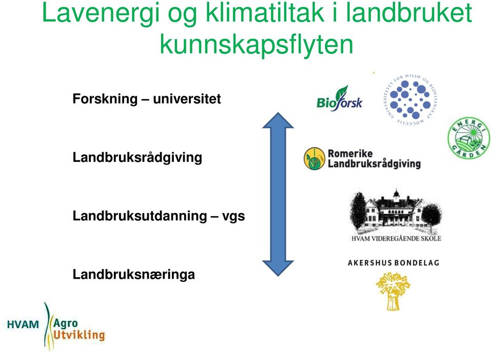 Forskning universitet