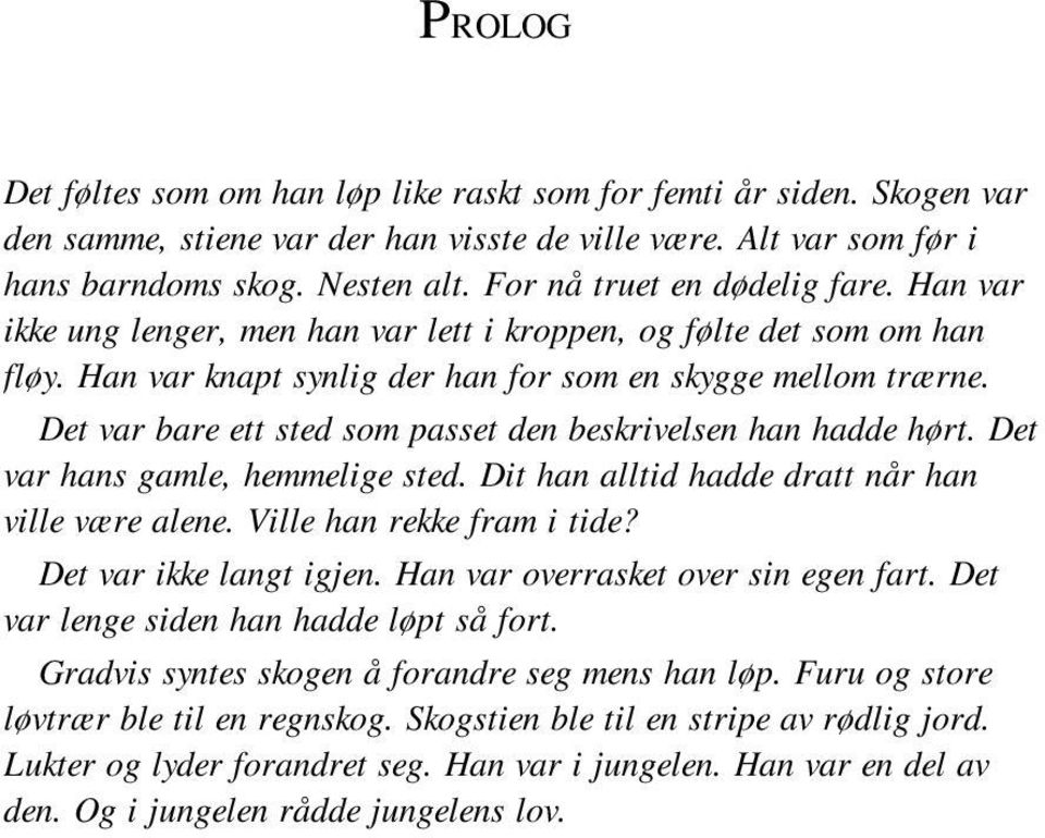 Det var bare ett sted som passet den beskrivelsen han hadde hørt. Det var hans gamle, hemmelige sted. Dit han alltid hadde dratt når han ville være alene. Ville han rekke fram i tide?