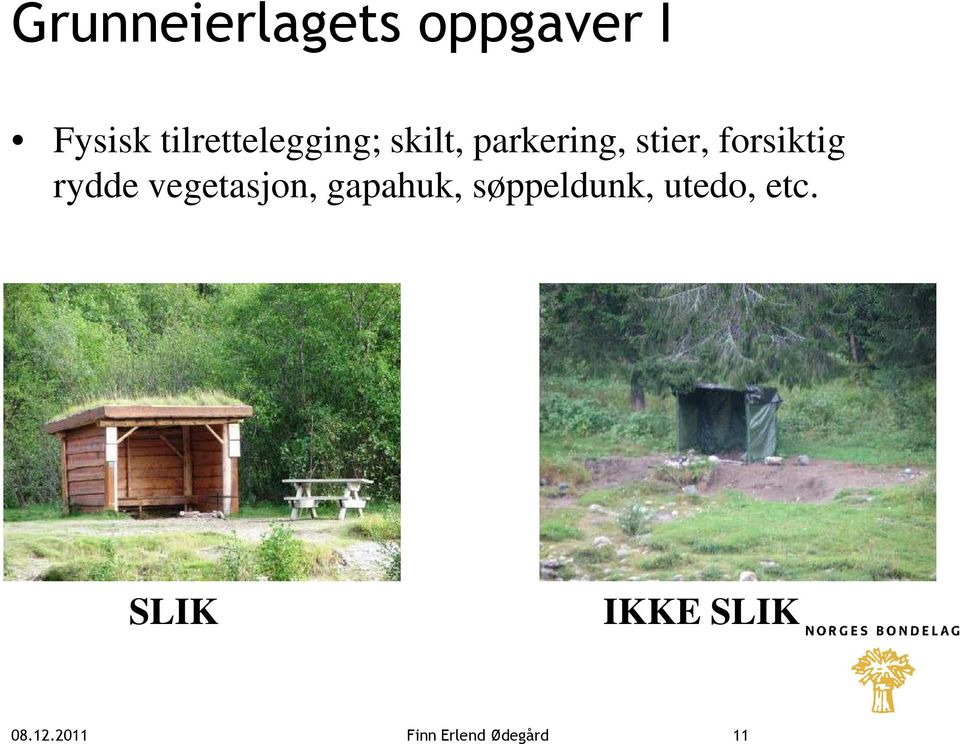 forsiktig rydde vegetasjon, gapahuk,