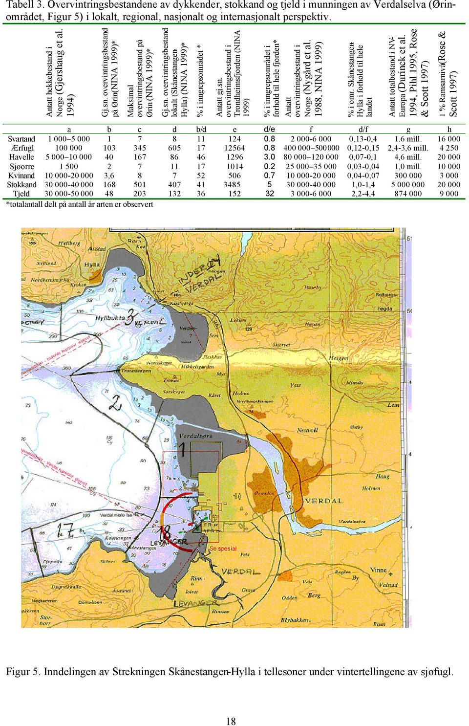 sn. overvintringsbestand i Trondheimsfjorden (NINA 1999) % i inngrepsområdet i forhold til hele fjorden* Antatt overvintringsbestand i Norge (Nygård et al. 1988, NINA 1999) % i omr.