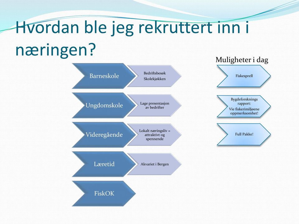 Lage presentasjon av bedrifter Bygdeforsknings rapport: Vie fiskerimiljøene