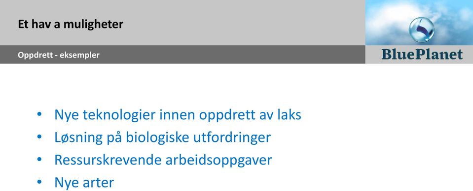 oppdrett av laks Løsning på biologiske