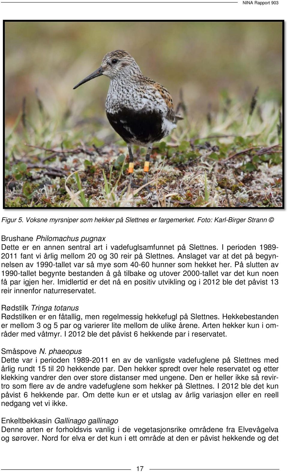 På slutten av 1990-tallet begynte bestanden å gå tilbake og utover 2000-tallet var det kun noen få par igjen her.