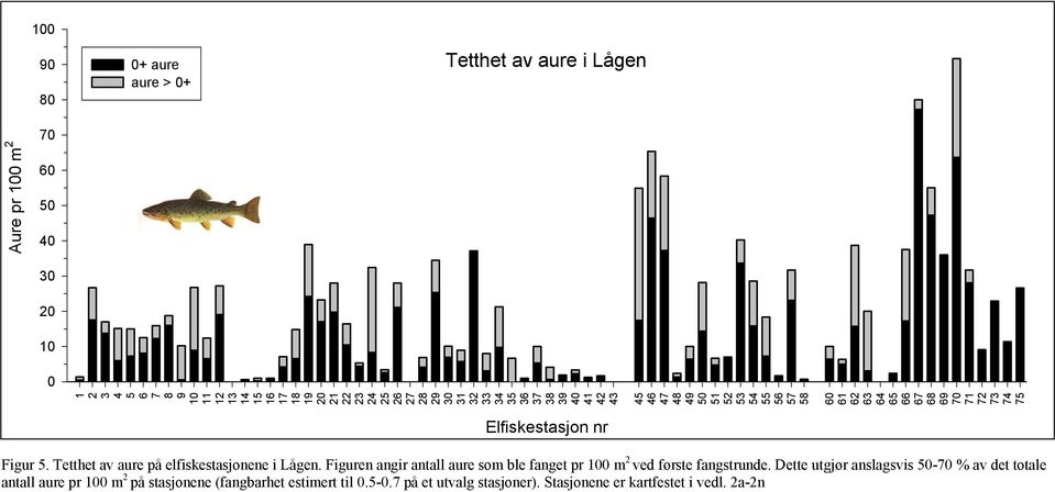 Elfiskestasjon nr Figur 5. Tetthet av aure på elfiskestasjonene i Lågen. Figuren angir antall aure som ble fanget pr 100 m 2 ved første fangstrunde.