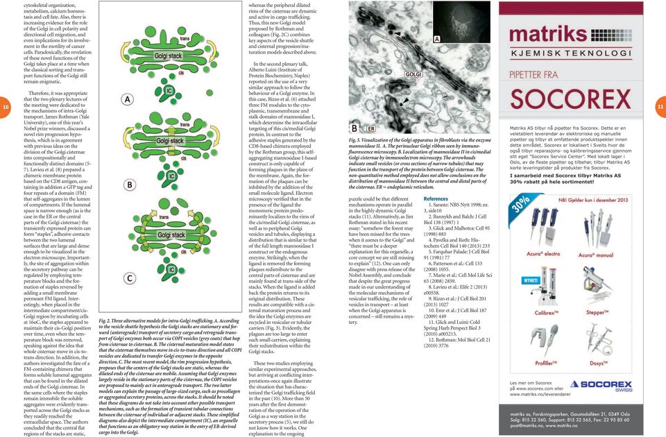 Paradoxically, the revelation of these novel functions of the Golgi takes place at a time when the classical sorting and transport functions of the Golgi still remain enigmatic.