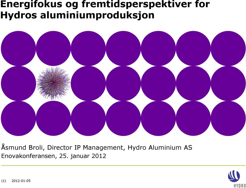 Director IP Management, Hydro Aluminium AS