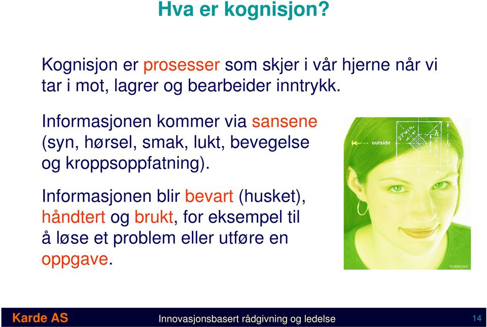 Informasjonen kommer via sansene (syn, hørsel, smak, lukt, bevegelse og kroppsoppfatning).