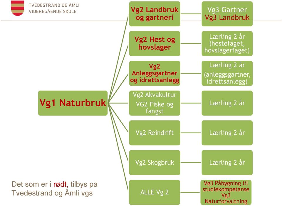 (anleggsgartner, idrettsanlegg) Lærling 2 år Vg2 Reindrift Lærling 2 år Vg2 Skogbruk Lærling 2 år Det som