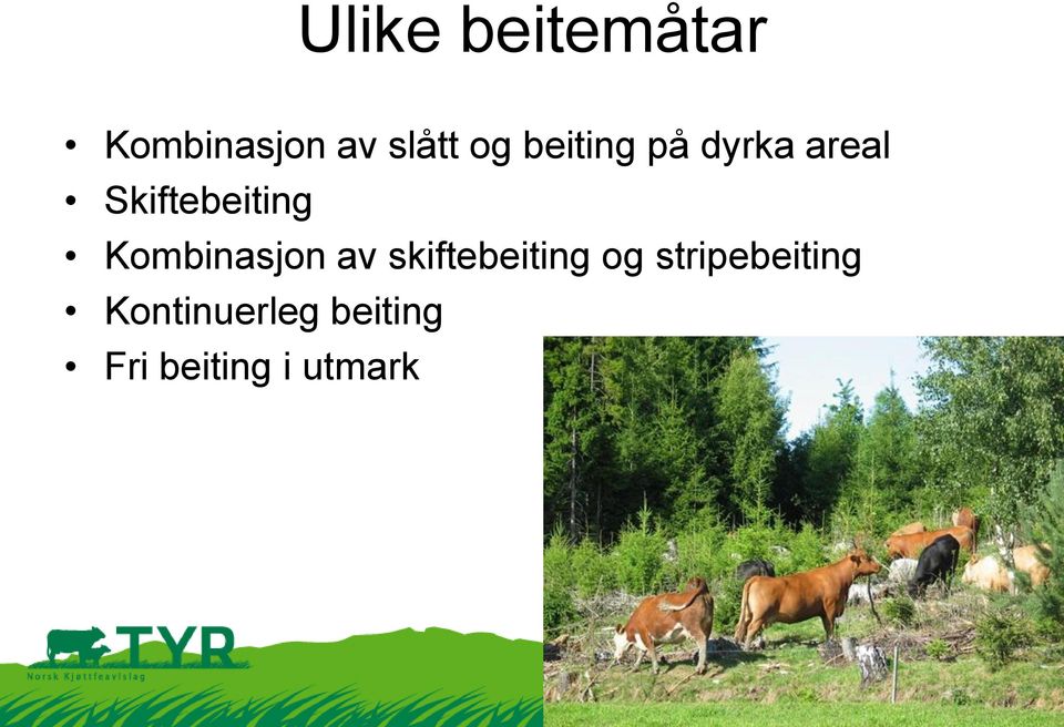 Kombinasjon av skiftebeiting og