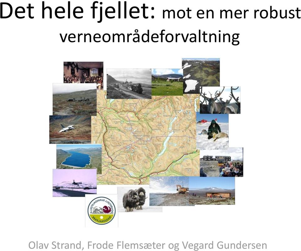 verneområdeforvaltning