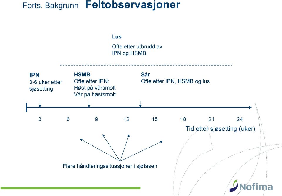 3-6 uker etter sjøsetting HSMB Ofte etter IPN: Høst på vårsmolt Vår