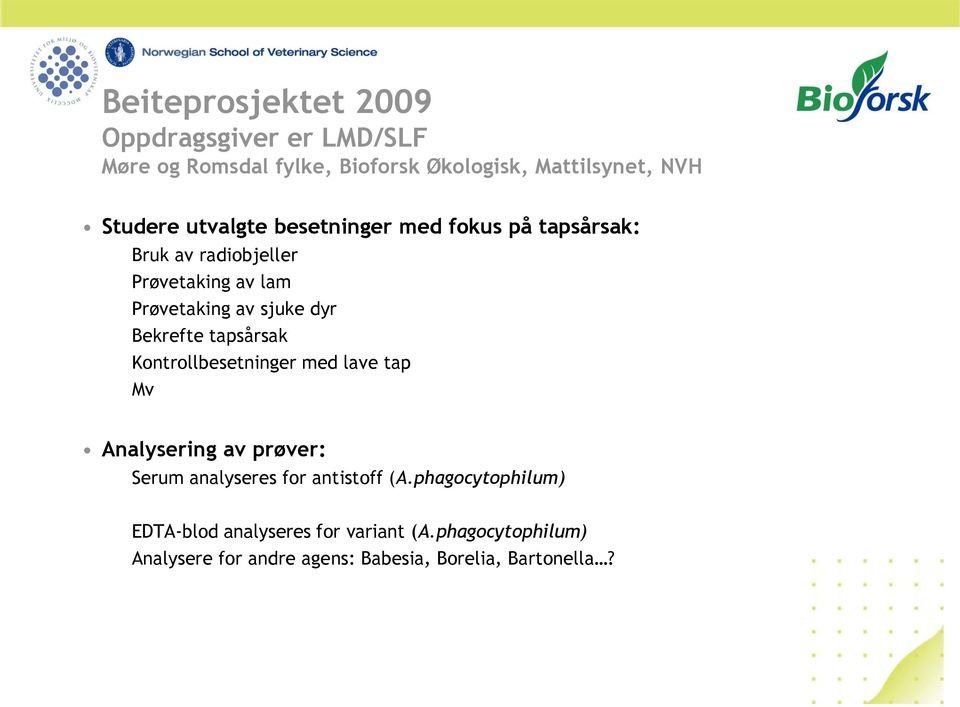 Bekrefte tapsårsak Kontrollbesetninger med lave tap Mv Analysering av prøver: Serum analyseres for antistoff (A.