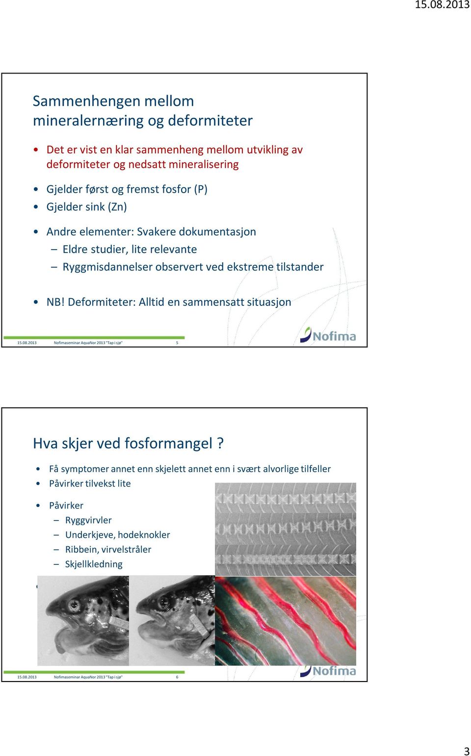 2013 Nofimaseminar AquaNor 2013 "Tap i sjø" 5 Hva skjer ved fosformangel?