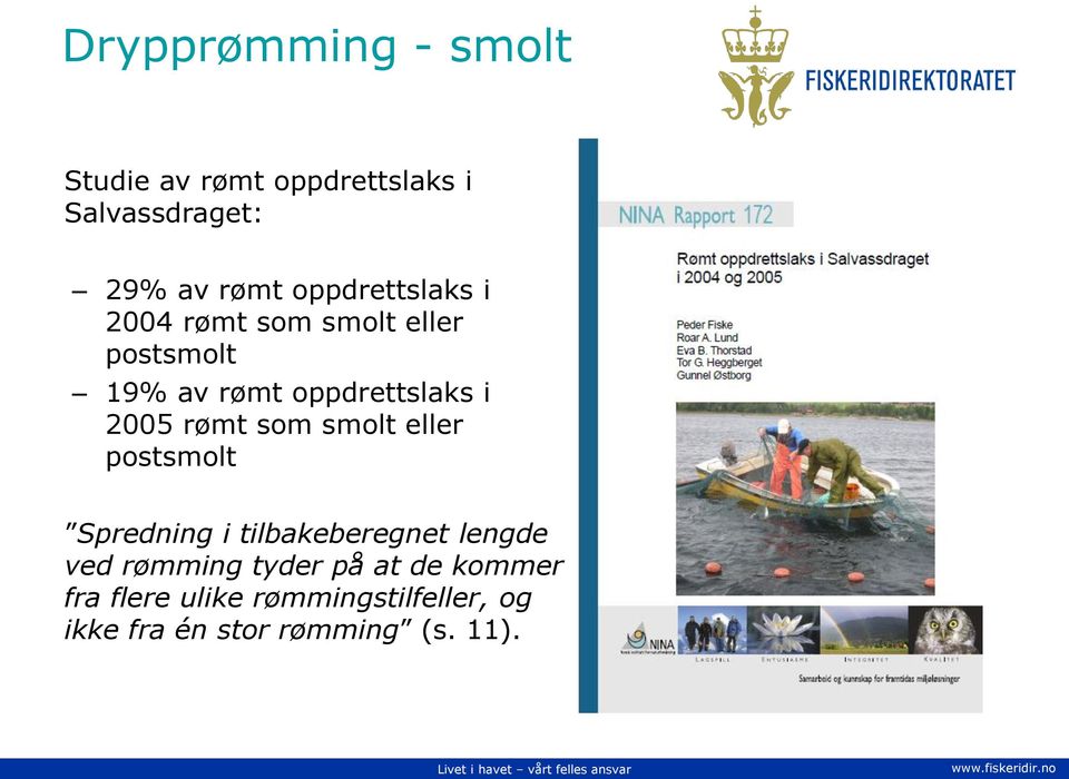 2005 rømt som smolt eller postsmolt Spredning i tilbakeberegnet lengde ved rømming