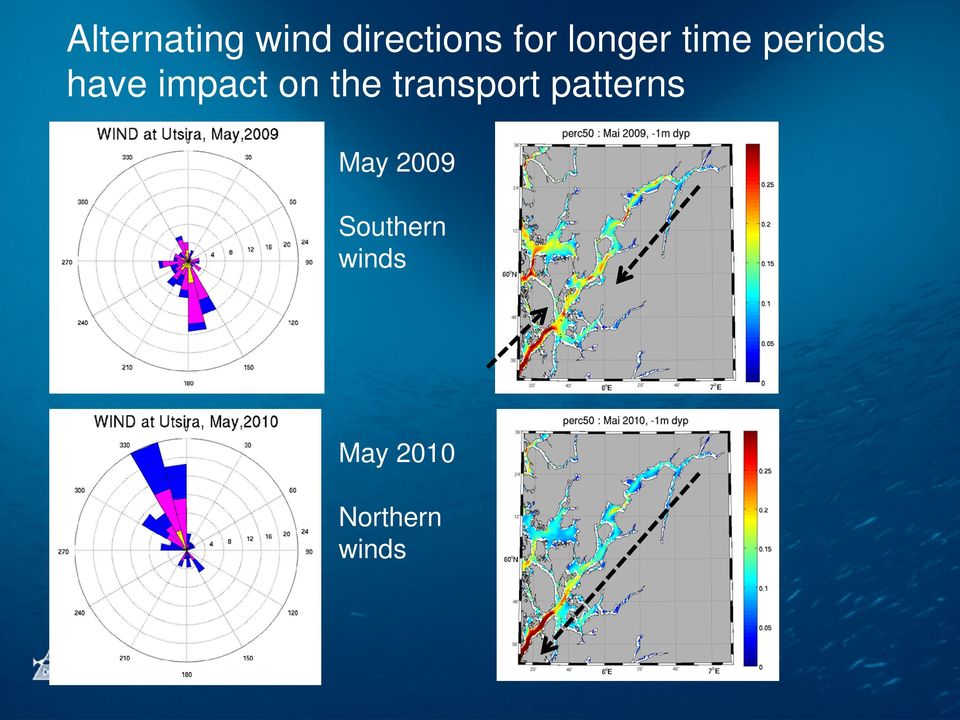 the transport patterns May 2009