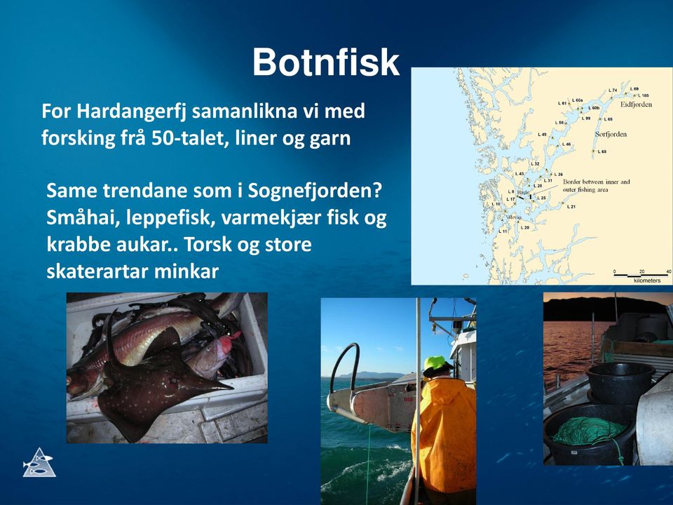 trendane som i Sognefjorden?