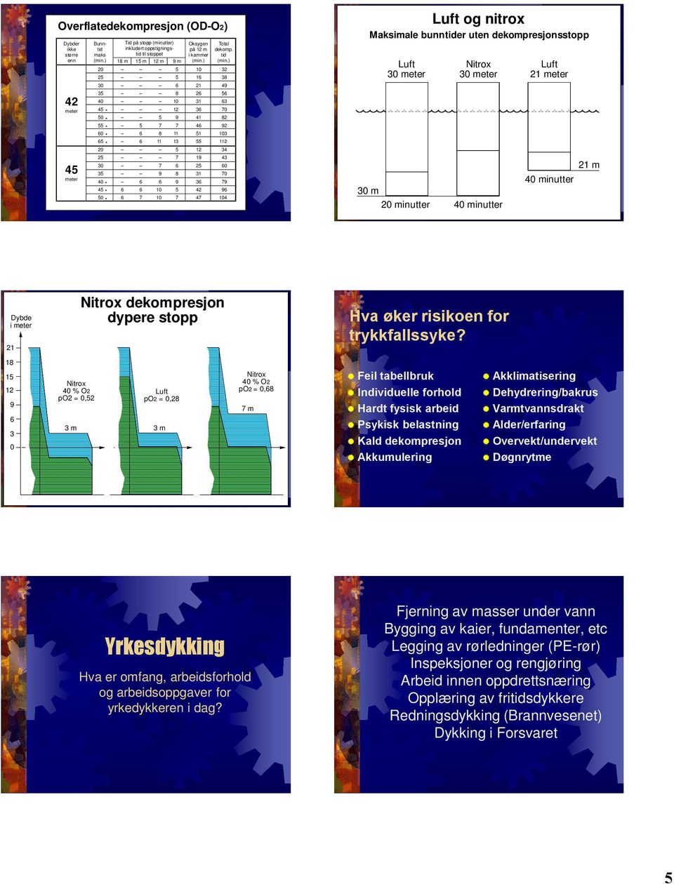 ) 20 10 32 2 1 38 Luft og nitrox Maksimale bunntider uten dekompresjonsstopp Luft 30 meter Nitrox 30 meter Luft 21 meter 30 21 49 42 meter 3 40 4 0 0 20 8 11 8 10 12 9 11 13 2 31 3 41 4 1 12 3 0 82