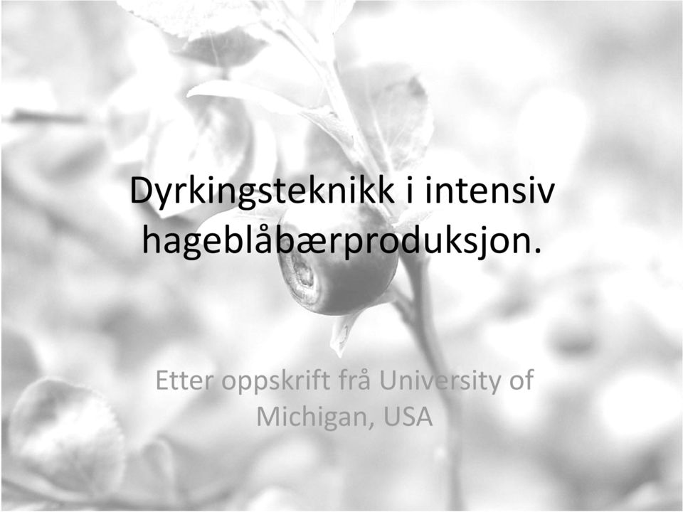 Etter oppskrift frå University