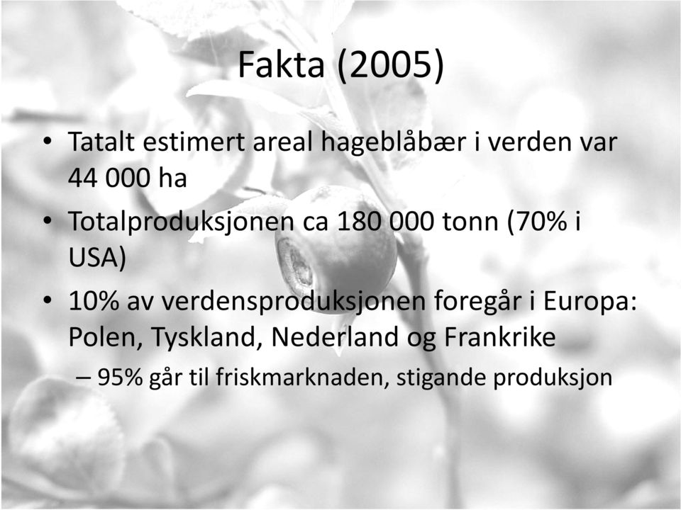 verdensproduksjonen foregår i Europa: Polen, Tyskland,