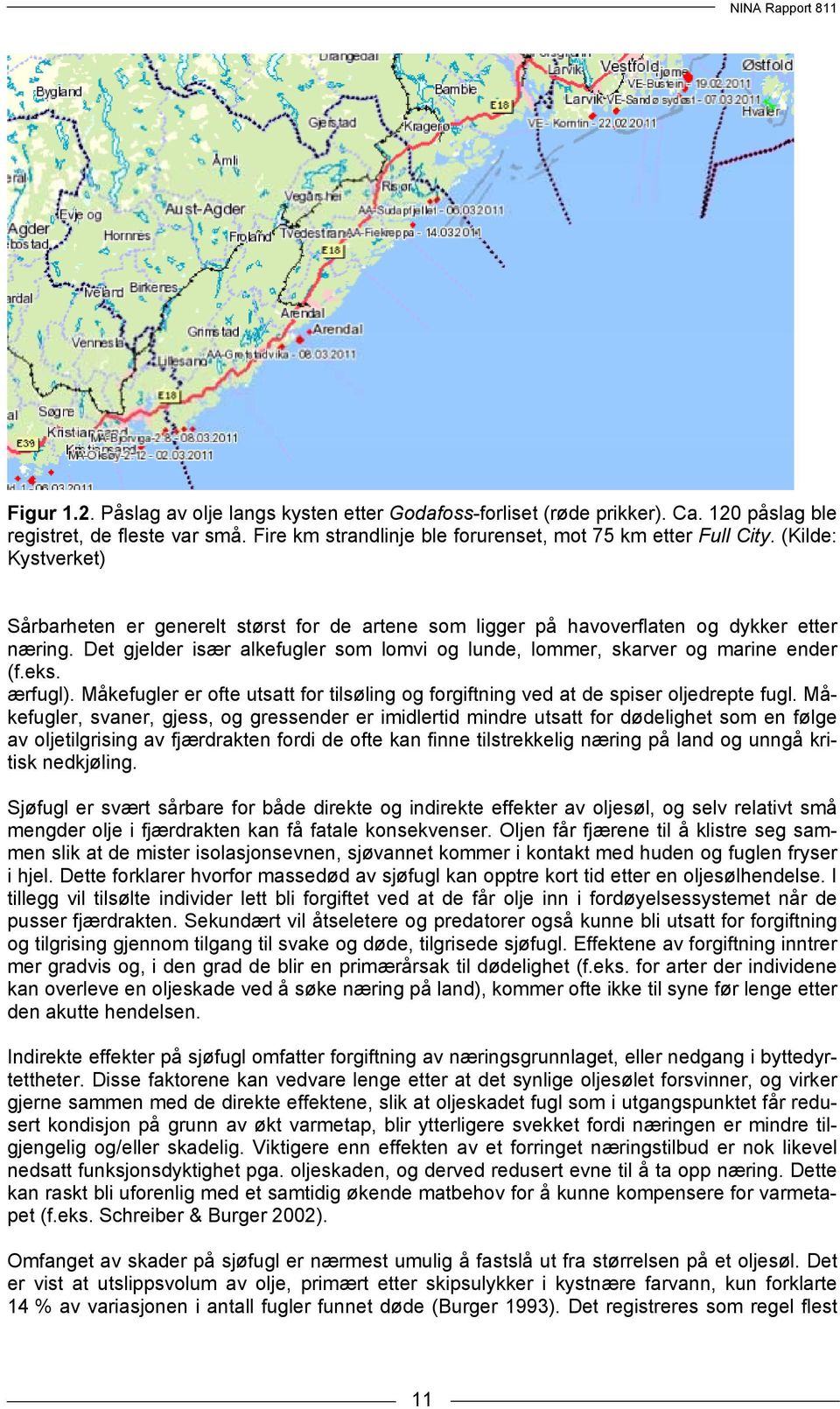 eks. ærfugl). Måkefugler er ofte utsatt for tilsøling og forgiftning ved at de spiser oljedrepte fugl.