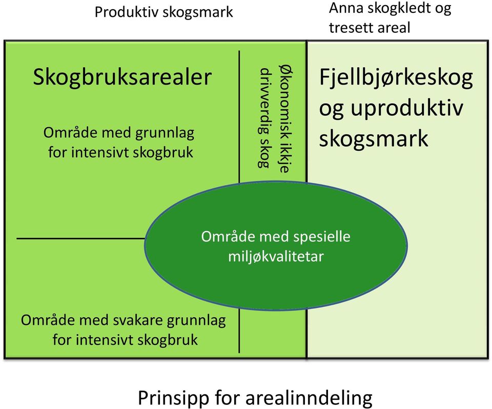 Fjellbjørkeskog og uproduktiv skogsmark Område med spesielle