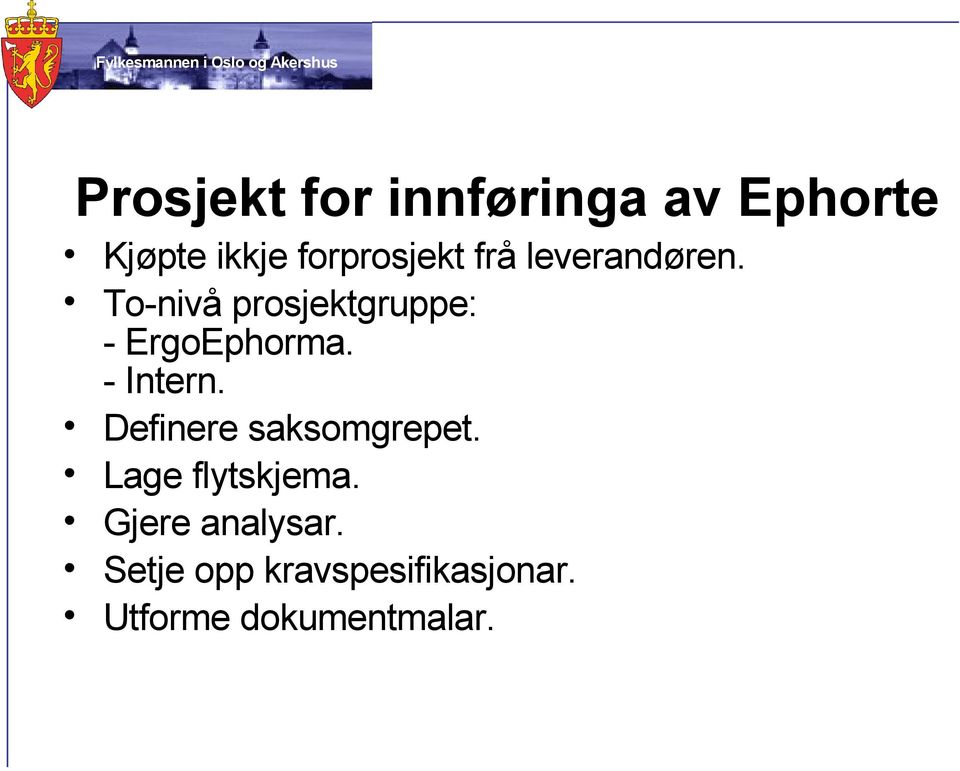 To-nivå prosjektgruppe: - ErgoEphorma. - Intern.