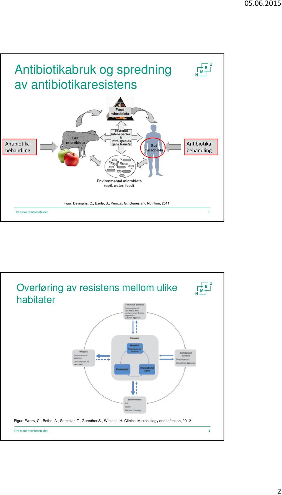 . Genes and Nutrition, 2011 3 Overføring av resistens mellom ulike habitater Figur: