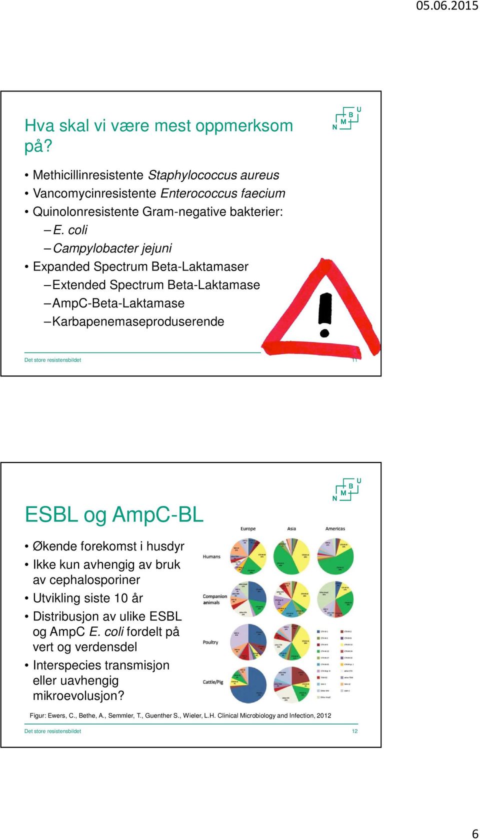 coli Campylobacter jejuni Expanded Spectrum Beta-Laktamaser Extended Spectrum Beta-Laktamase AmpC-Beta-Laktamase Karbapenemaseproduserende 11 ESBL og AmpC-BL Økende