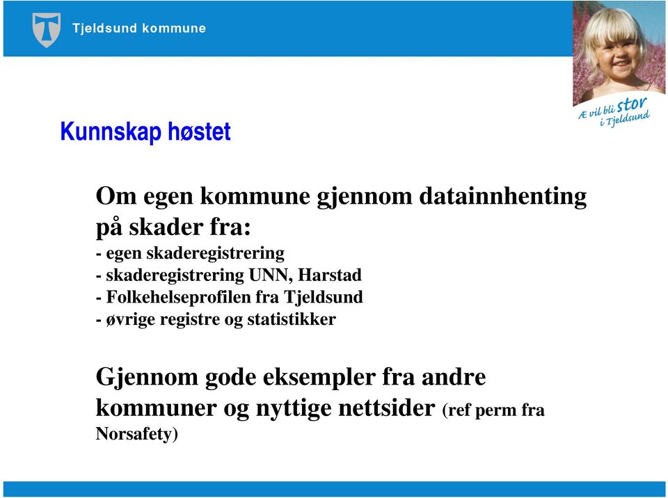 Folkehelseprofilen fra Tjeldsund - øvrige registre og statistikker