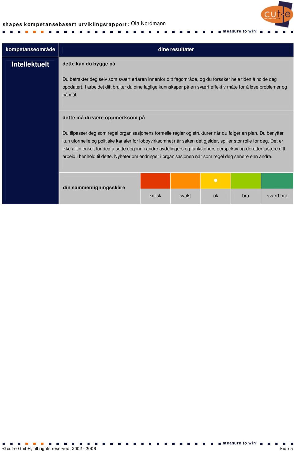 dette må du være oppmerksom på Du tilpasser deg som regel organisasjonens formelle regler og strukturer når du følger en plan.