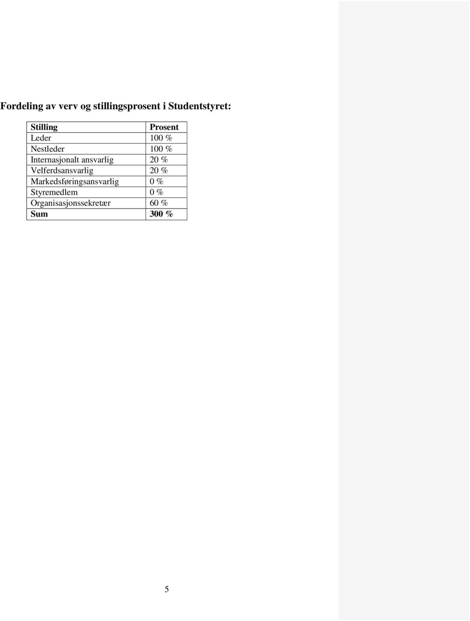 Internasjonalt ansvarlig 20 % Velferdsansvarlig 20 %