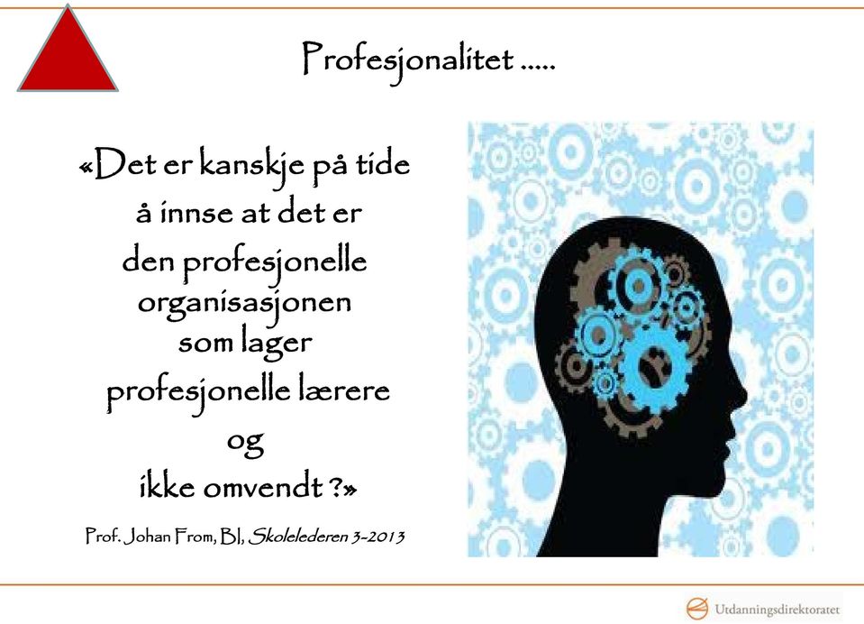 den profesjonelle organisasjonen som lager