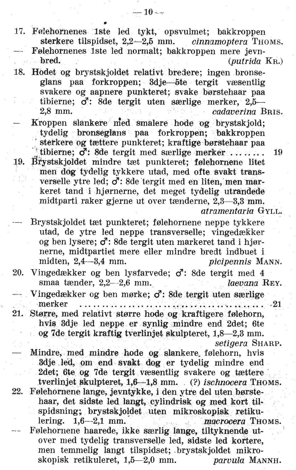 merker, 2,6 2,8 mm. cadauerina BRIS. - Kroppen slankere ded smalere hode og brystskjold; tpdeljg bromeglans paa forkroppen; bakkroppen I stetkere og tettere punkteret; kraftige bsrstehaar paa -' 49.