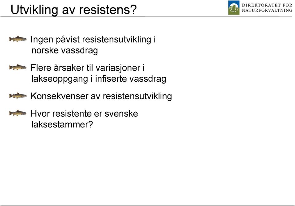 Flere årsaker til variasjoner i lakseoppgang i