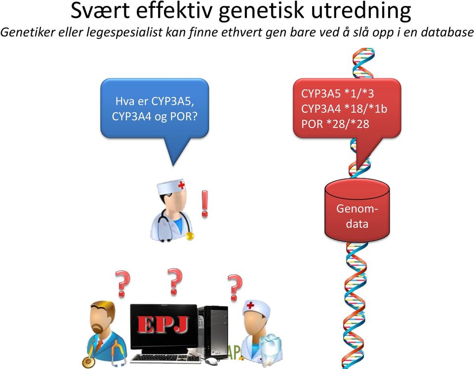 slå opp i en database Hva er CYP3A5, CYP3A4 og