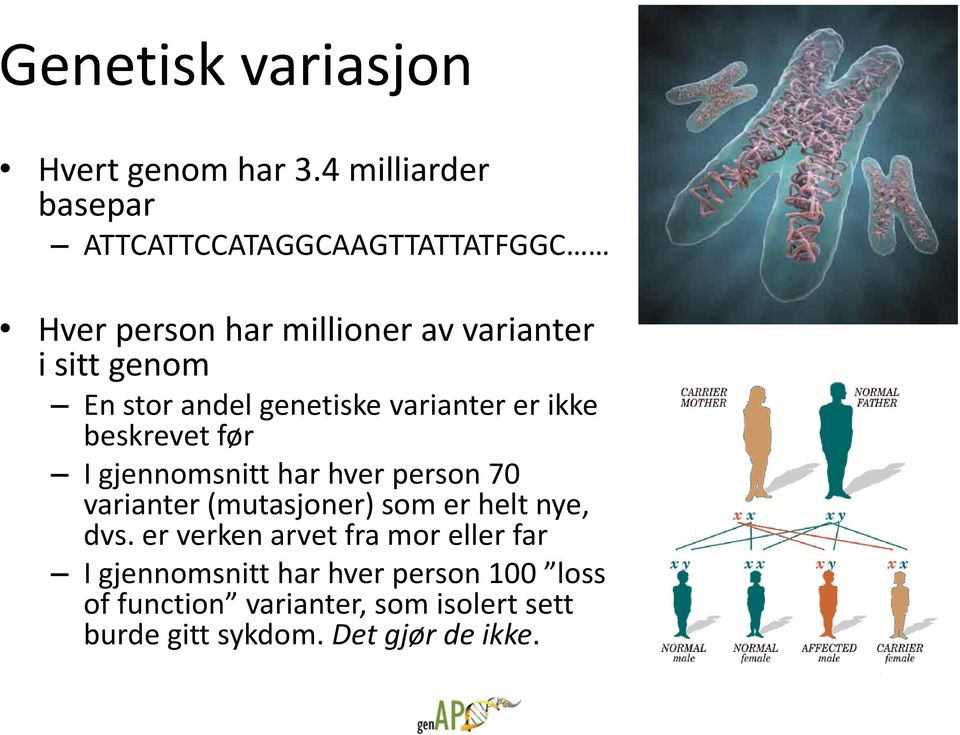 stor andel genetiske varianter er ikke beskrevet før I gjennomsnitt har hver person 70 varianter