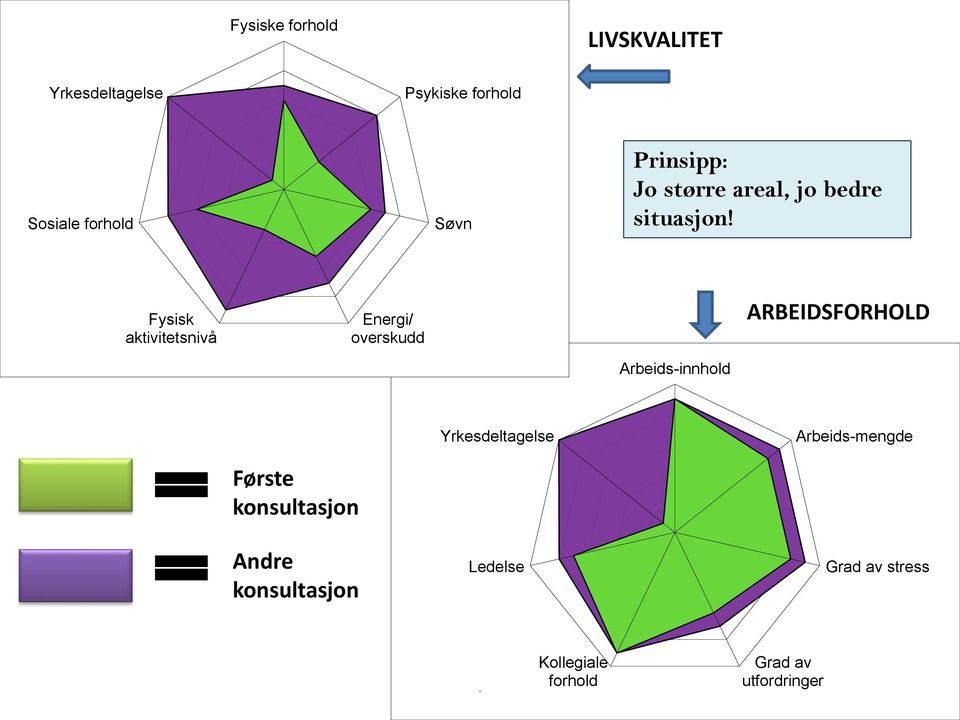 Fysisk aktivitetsnivå Energi/ overskudd Arbeids-innhold ARBEIDSFORHOLD Første