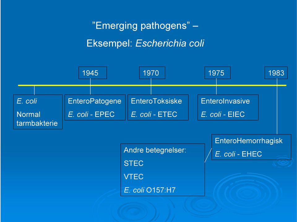 tarmbakterie E. coli - EPEC E. coli - ETEC E.