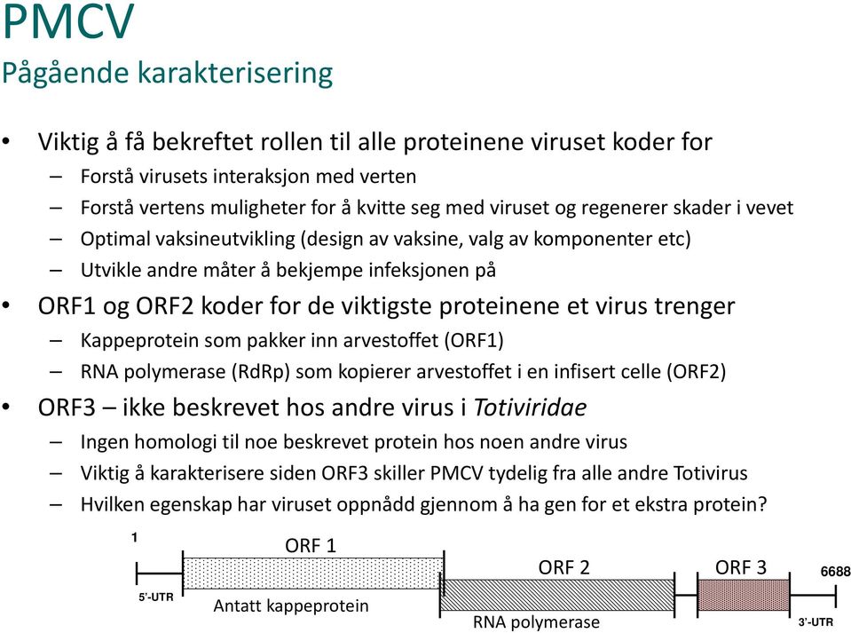 trenger Kappeprotein som pakker inn arvestoffet (ORF1) RNA polymerase (RdRp) som kopierer arvestoffet i en infisert celle (ORF2) ORF3 ikke beskrevet hos andre virus i Totiviridae Ingen homologi til