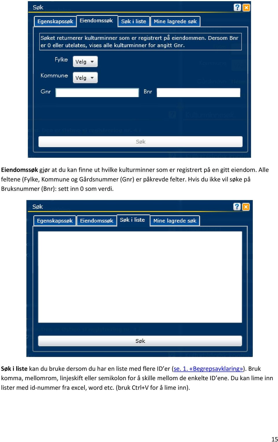 Hvis du ikke vil søke på Bruksnummer (Bnr): sett inn 0 som verdi.